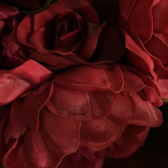 Meet your Posher, Maria g - Picture 1 of 1